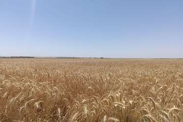 photo27201369955 (1)